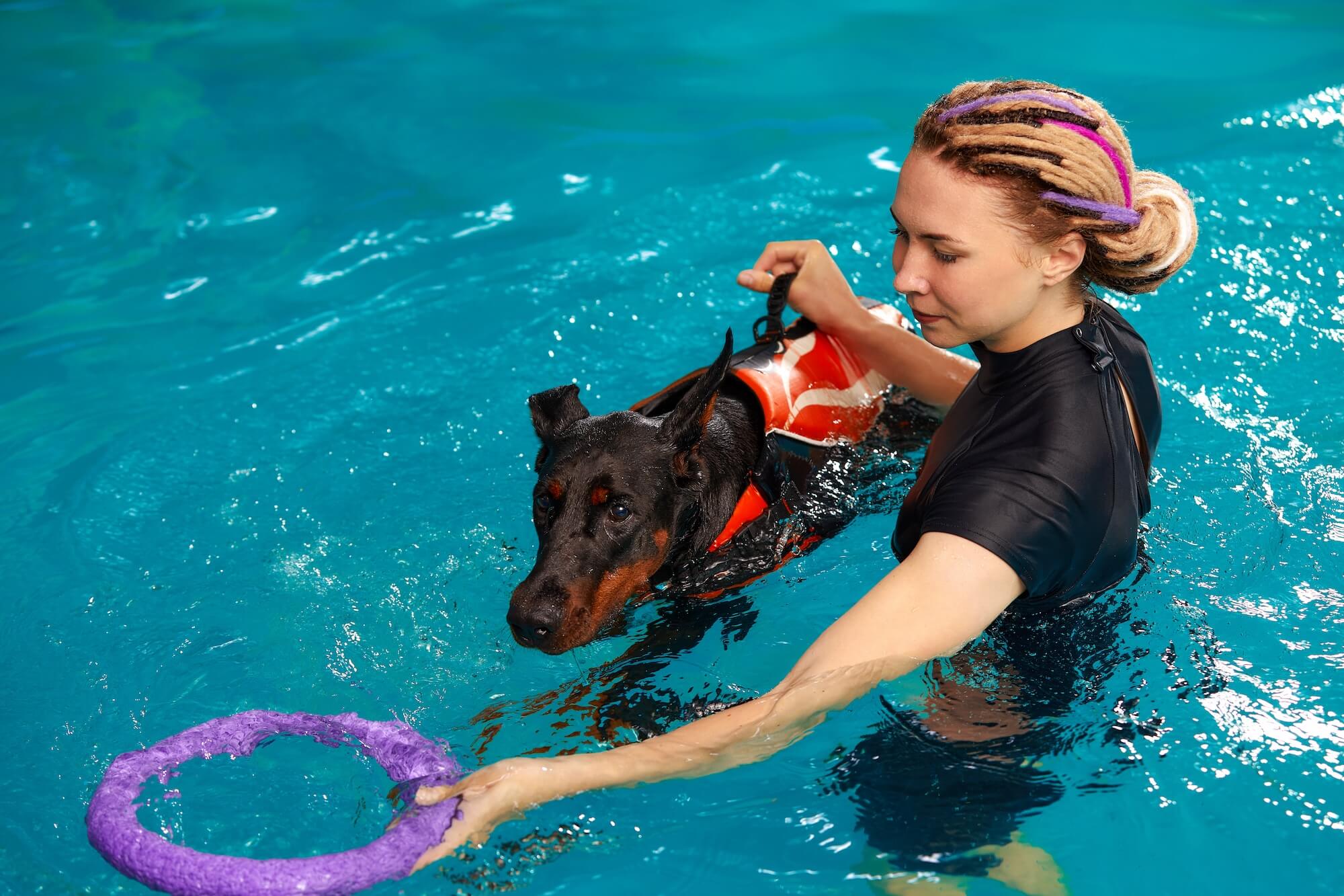 Finance Lease For Hydrotherapy Unit For Dog Hydrotherapy Business